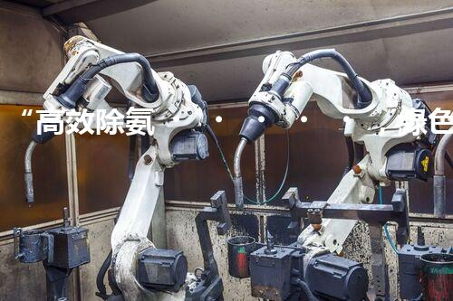 “高效除氨，綠色凈流：揭秘氨氮廢水處理新篇章”